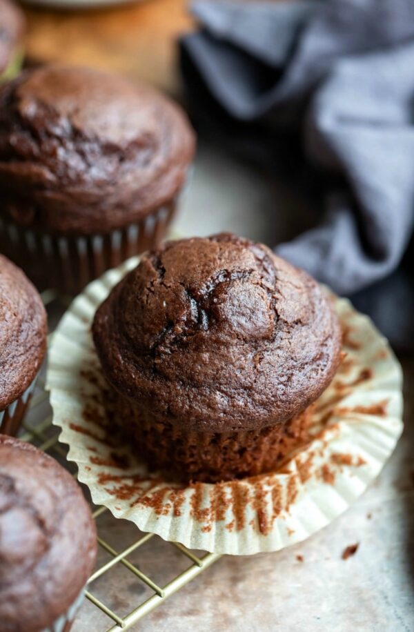 Chocolate Muffin