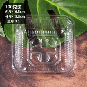 100g Transparent Tray